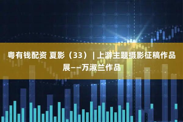 粤有钱配资 夏影（33） | 上游主题摄影征稿作品展——万淑兰作品