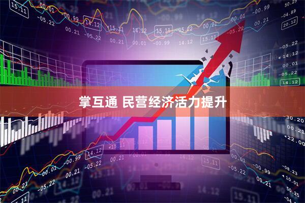 掌互通 民营经济活力提升