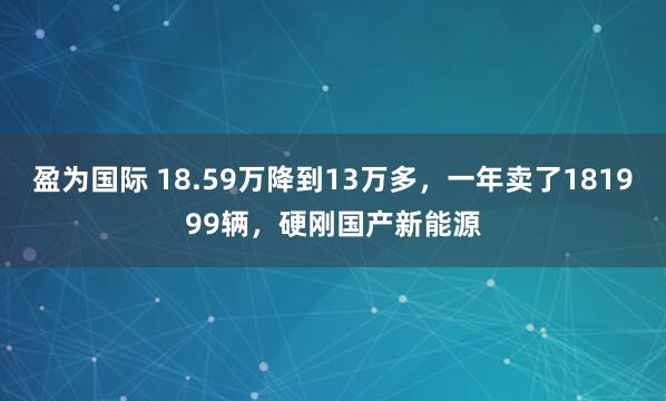 盈为国际 18.59万降到13万多，一年卖了181999辆，硬刚国产新能源