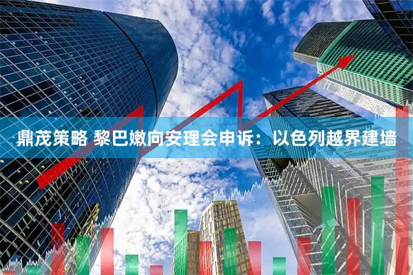 鼎茂策略 黎巴嫩向安理会申诉：以色列越界建墙