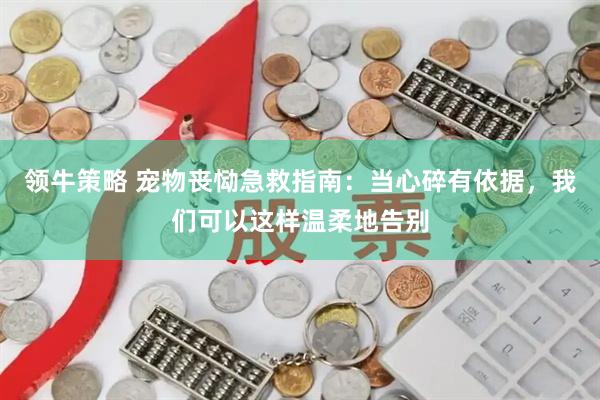 领牛策略 宠物丧恸急救指南:当心碎有依据,我们可以这样温柔地告别