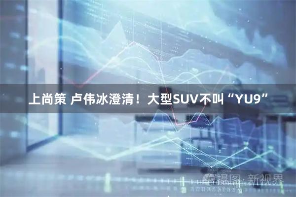 上尚策 卢伟冰澄清！大型SUV不叫“YU9”